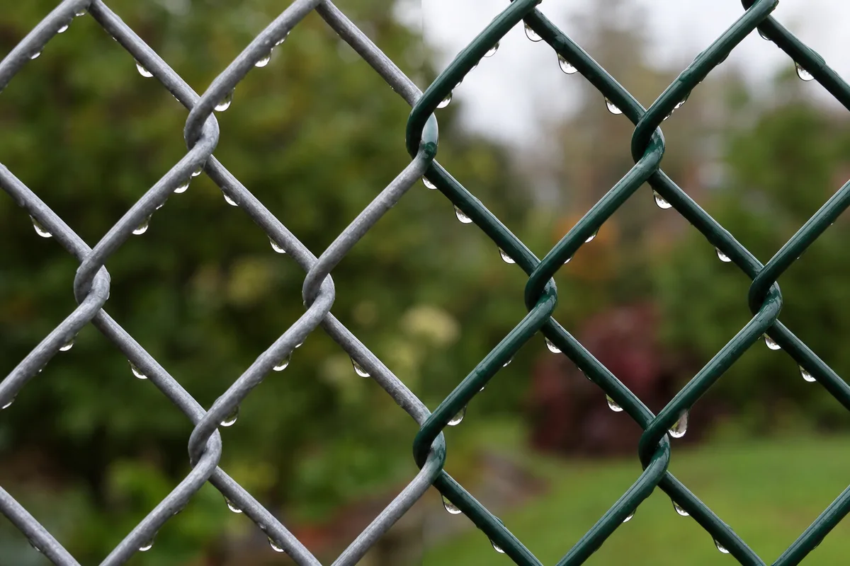 Comparaison entre un grillage simple torsion galvanisé et un modèle plastifié vert dans un jardin