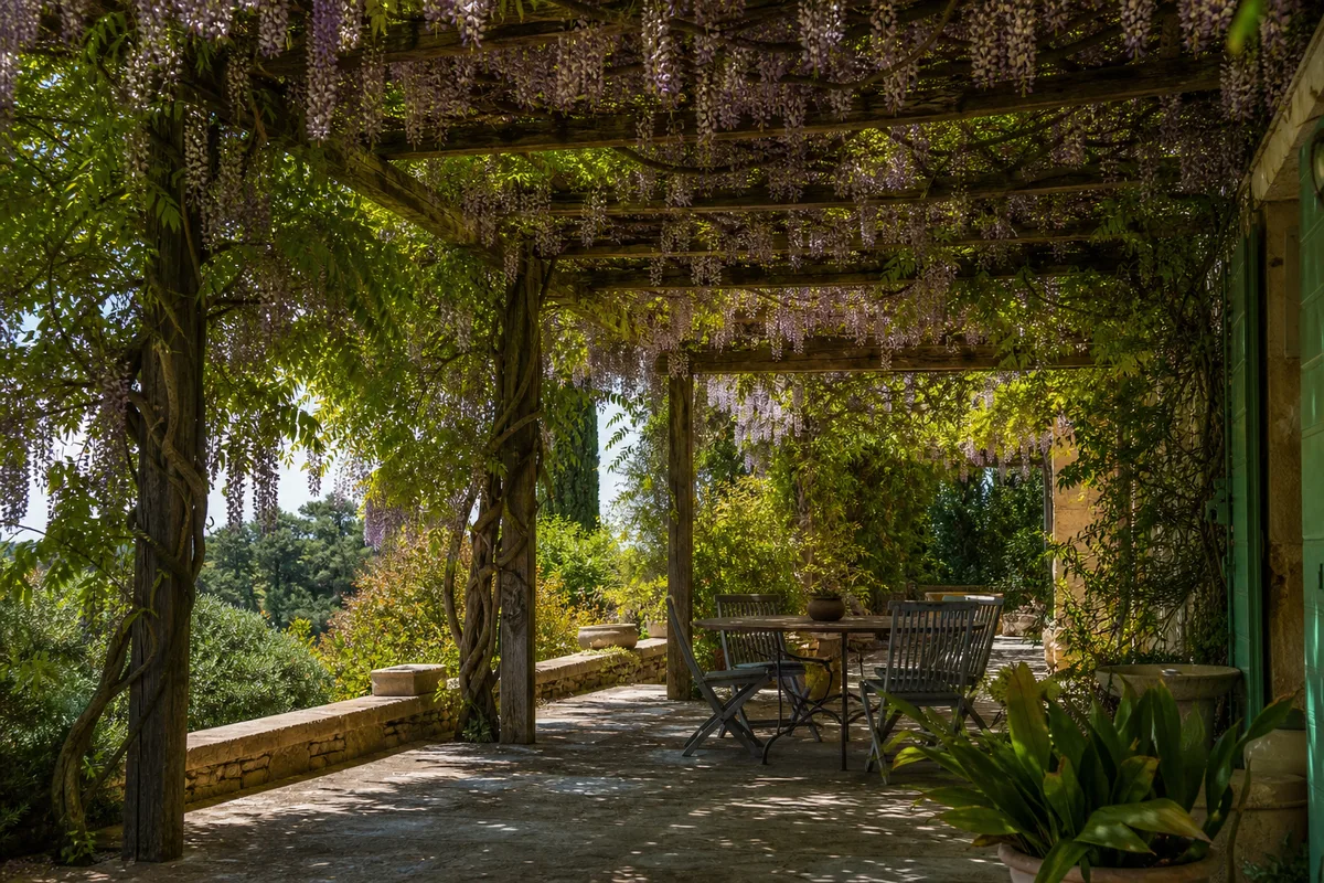 Terrasse ombragée par une treille végétale et des grimpantes
